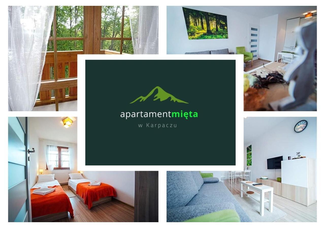 Apartament Mieta Karpacz Exteriér fotografie